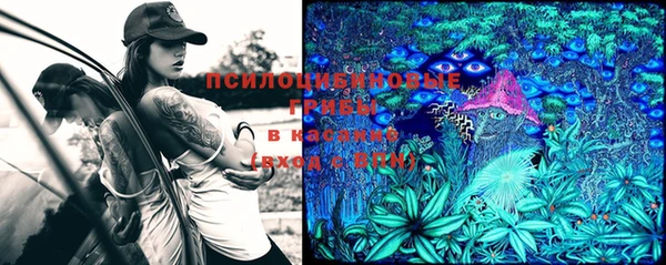 гашик Алексеевка