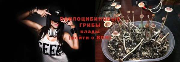 гашик Алексеевка