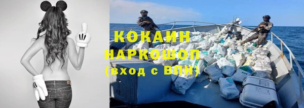 гидропоника Алзамай