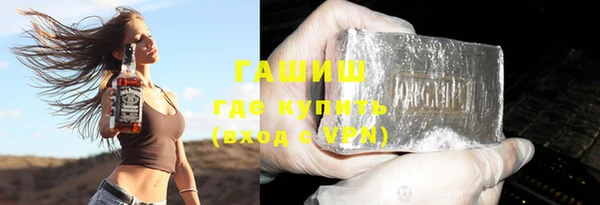 гашик Алексеевка