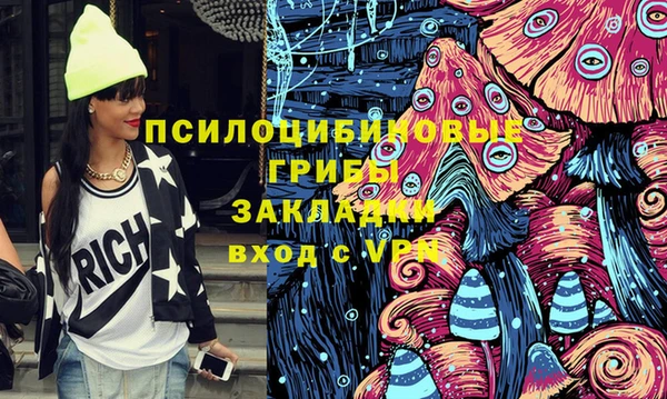 гидропоника Алзамай