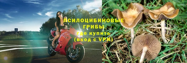 гидропоника Алзамай