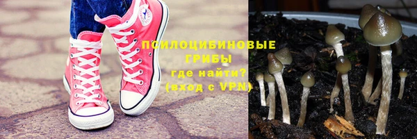Альфа ПВП Алексин
