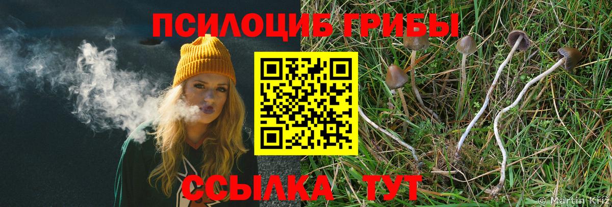 Галлюциногенные грибы прущие грибы  Галлюциногенные грибы Psilocybine cubensis  где купить наркоту  Уварово  Вход с VPN 